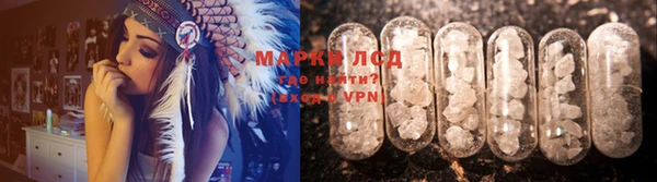 сатива Зерноград