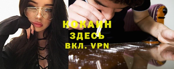 сатива Зерноград