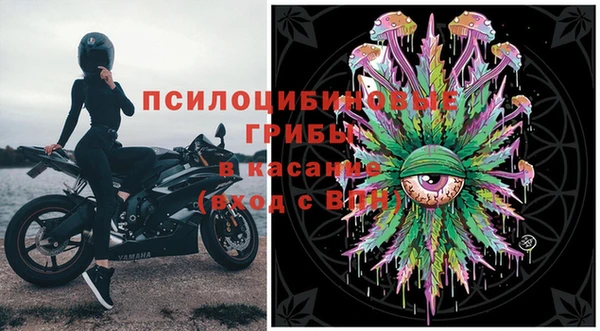 гашик Зеленодольск