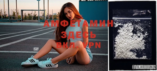 сатива Зерноград