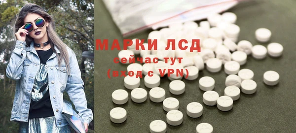 сатива Зерноград