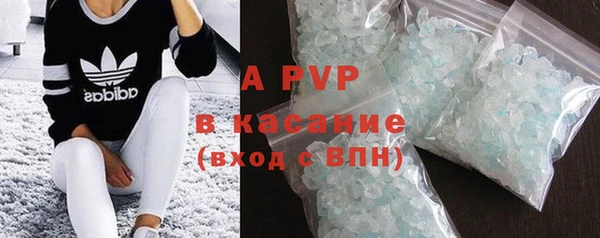 сатива Зерноград