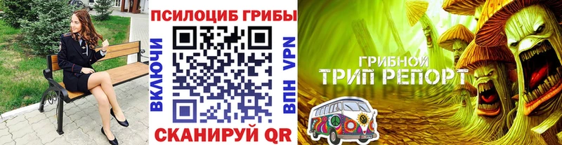 МЕГА рабочий сайт  Истра  Галлюциногенные грибы Psilocybe  дарнет шоп 
