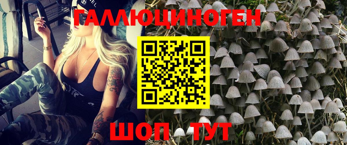 Псилоцибиновые грибы мицелий Истра