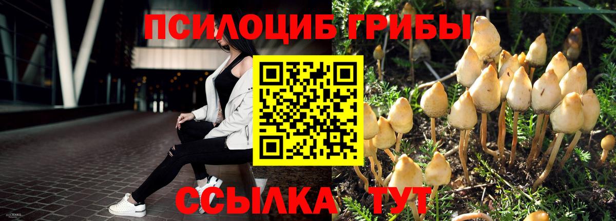 Истра  Галлюциногенные грибы мухоморы  Вход с VPN 
