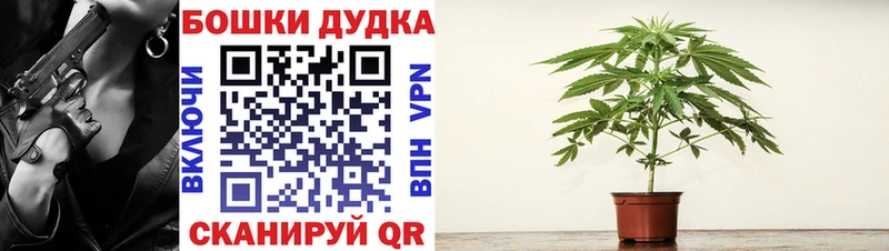 Бошки Шишки индика  купить наркотик  Истра 